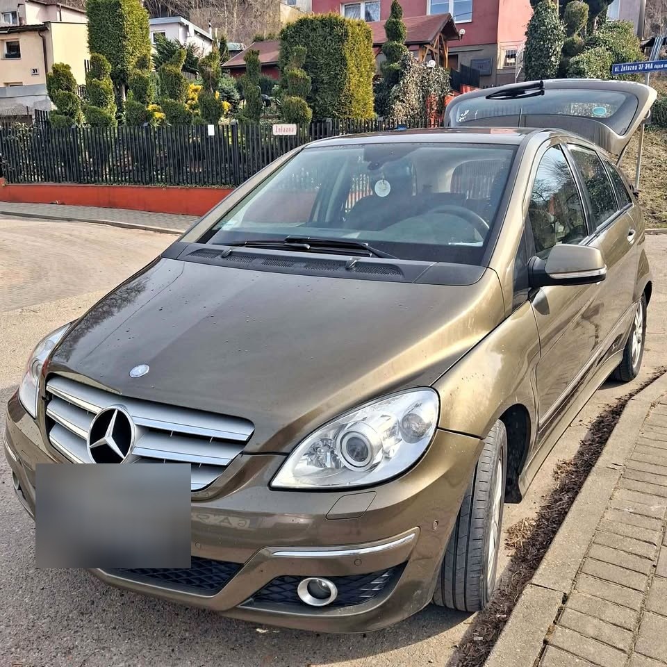 2009 Mercedes-Benz B-Class automobilių skelbimas Alytus Aumo